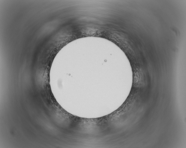 X0000112930820200908241052