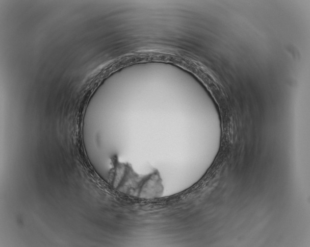 X0000112930821200908241052