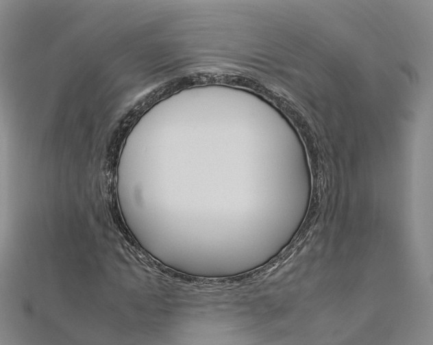 X0000112930822200908241052