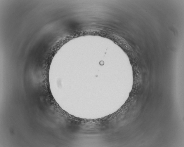 X0000112930824200908241052