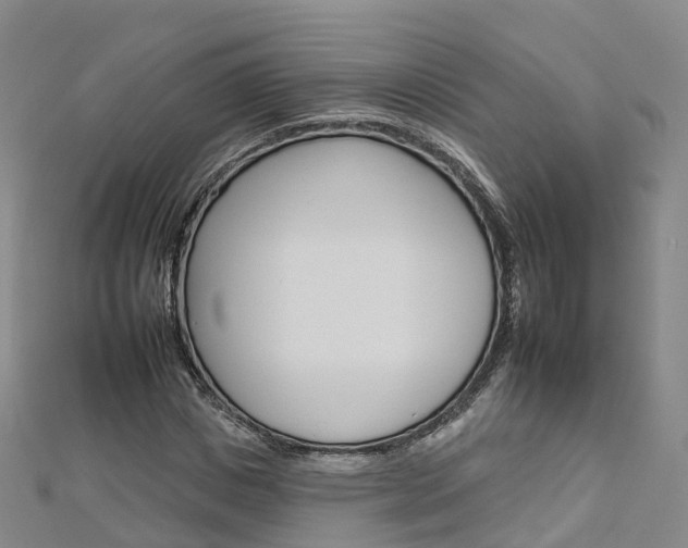 X0000112930825200908241052