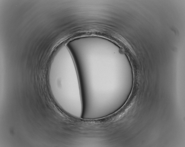 X0000112930826200908241052