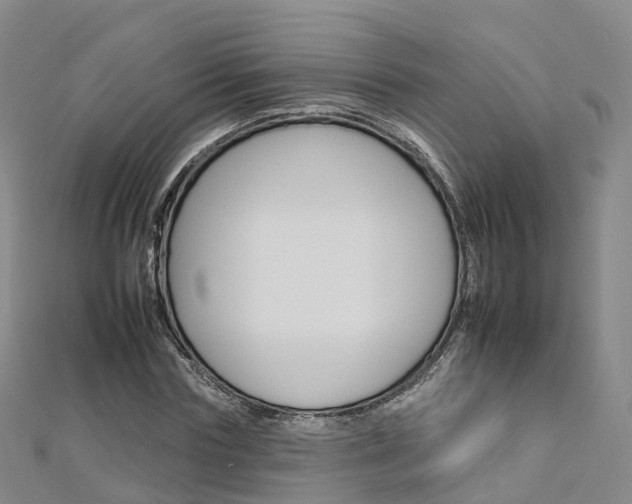 X0000112930827200908241052