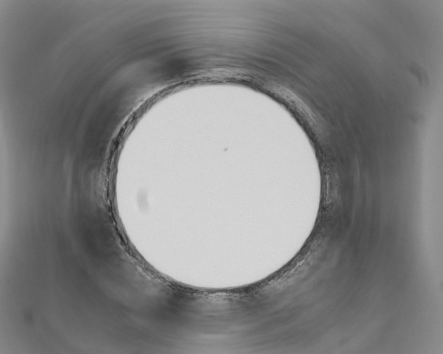 X0000112930828200908241052