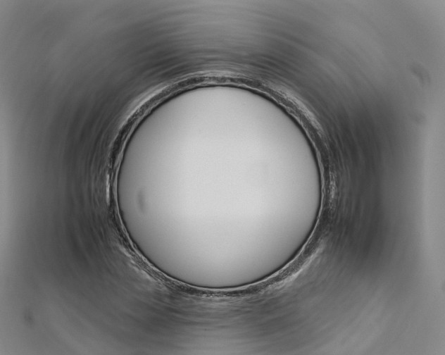 X0000112930829200908241052