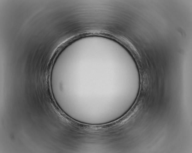 X0000112930831200908241052