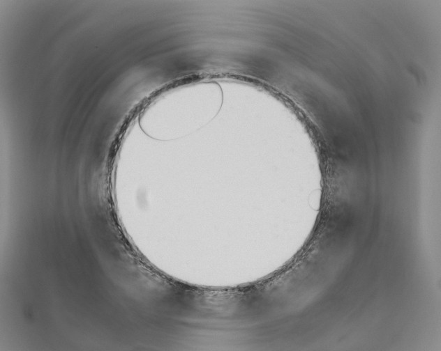 X0000112930832200908241052