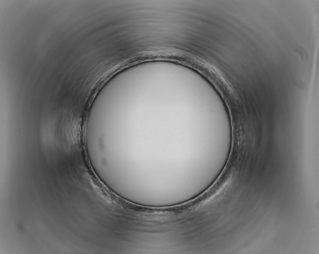 X0000112930833200908241052