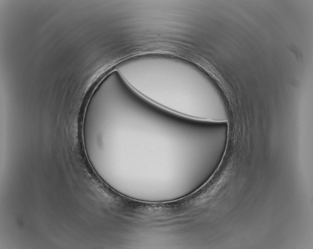 X0000112930834200908241052