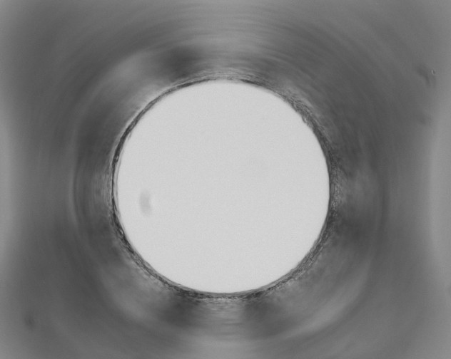 X0000112930836200908241052