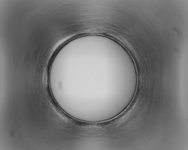 X0000112930838200908241052