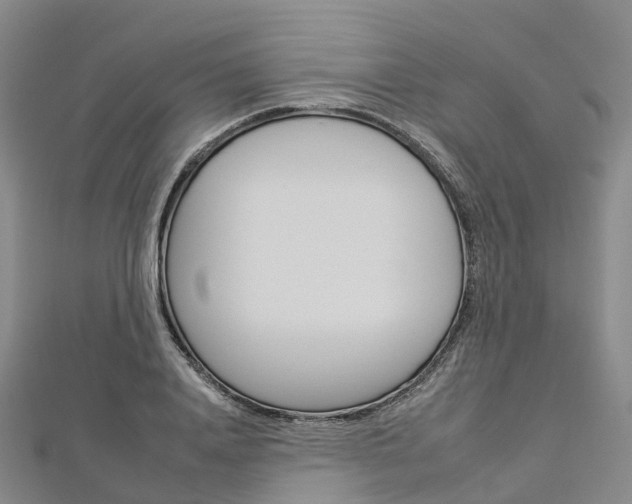 X0000112930840200908241052