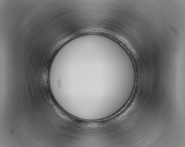 X0000112930841200908241052