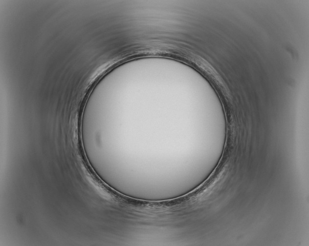 X0000112930842200908241052
