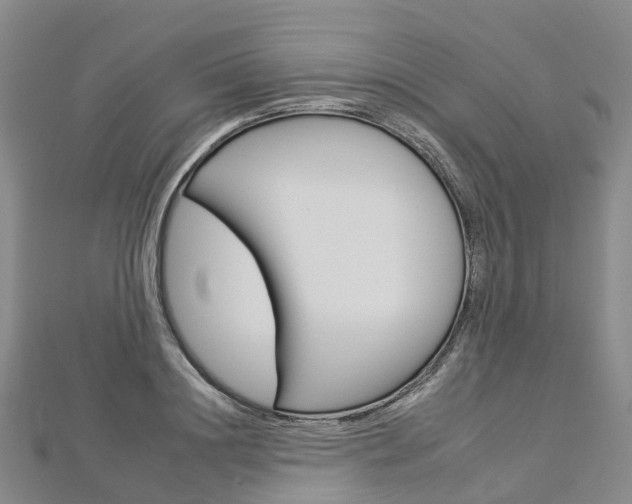 X0000112930844200908241052