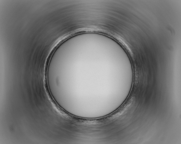 X0000112930845200908241052