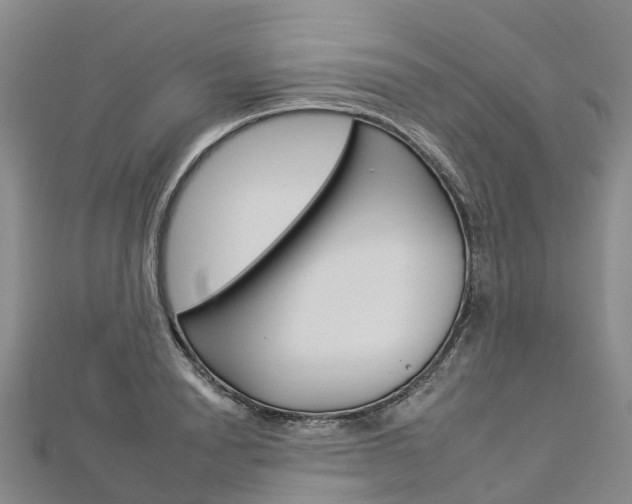 X0000112930846200908241052