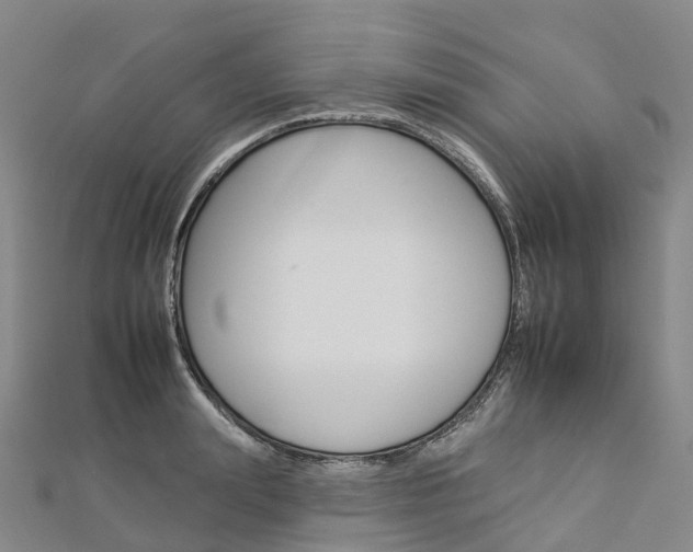 X0000112930847200908241052
