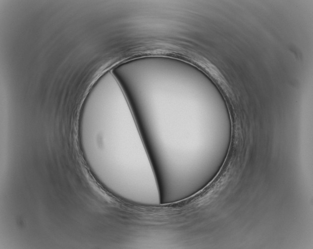 X0000112930850200908241052