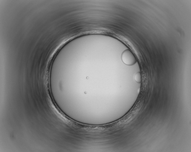 X0000112930851200908241052