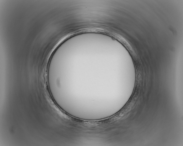 X0000112930852200908241052