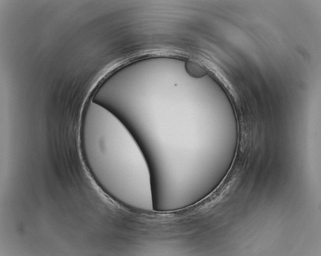 X0000112930853200908241052