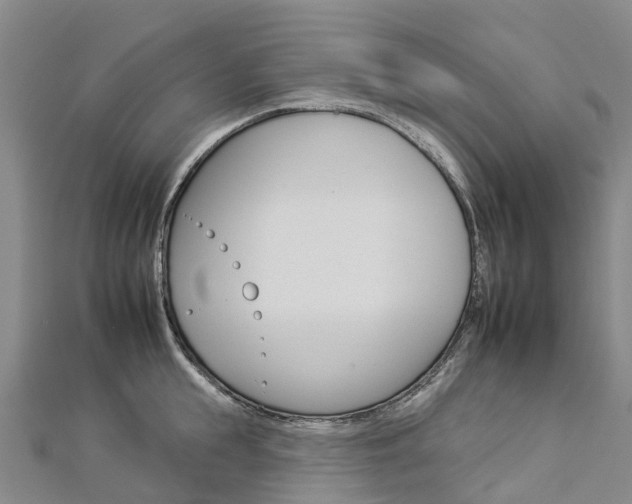 X0000112930855200908241053