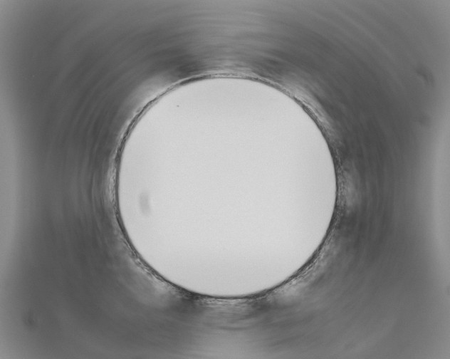 X0000112930856200908241053