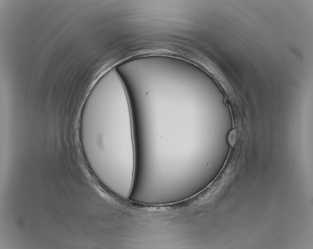 X0000112930858200908241053