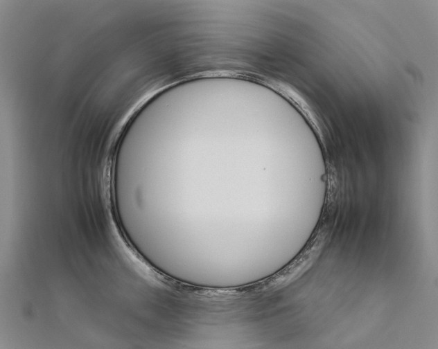 X0000112930859200908241053