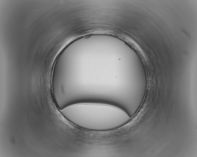 X0000112930860200908241053