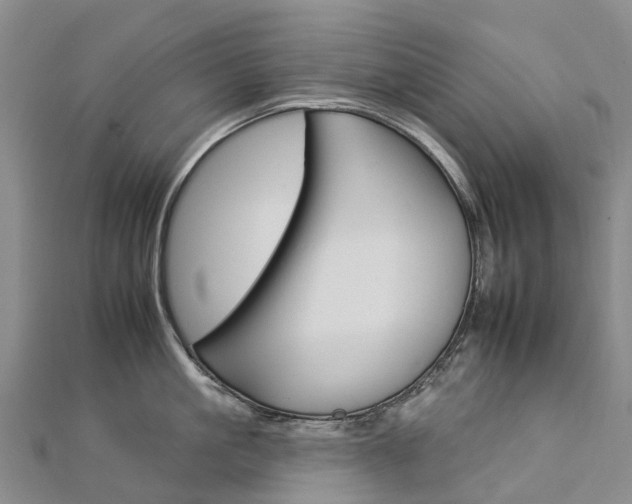 X0000112930861200908241053