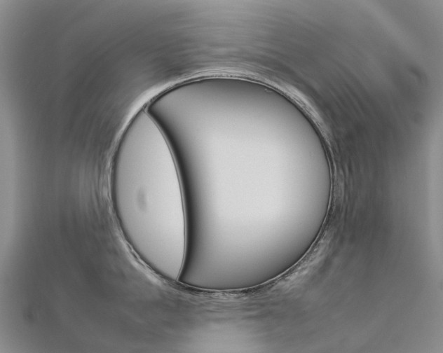 X0000112930862200908241053