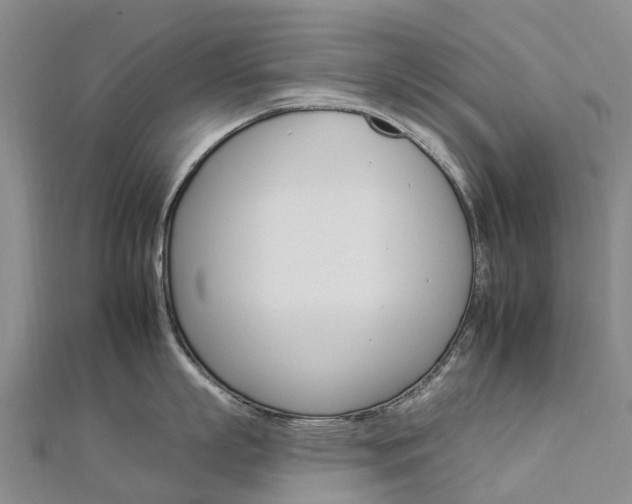 X0000112930863200908241053