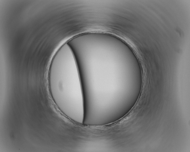 X0000112930864200908241053