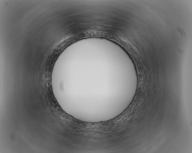 X0000112930870200908241052