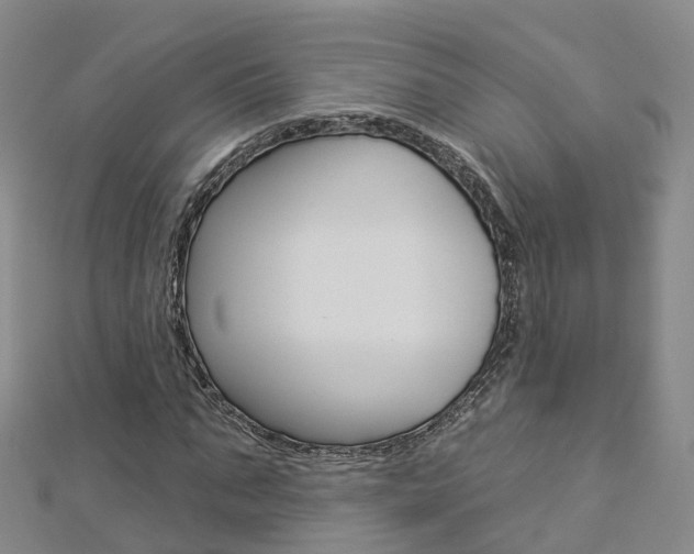 X0000112930871200908241052