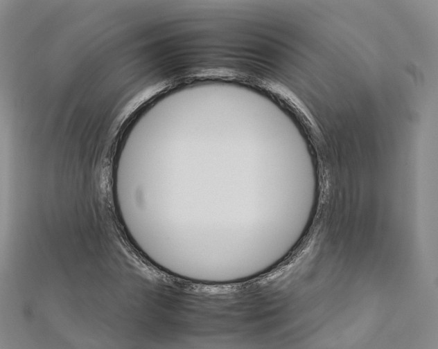 X0000112930874200908241052