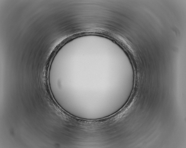 X0000112930875200908241052
