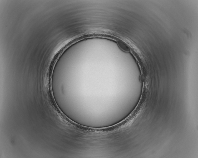 X0000112930877200908241052