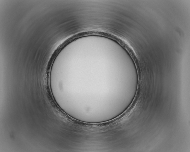 X0000112930879200908241052