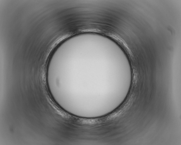 X0000112930882200908241052