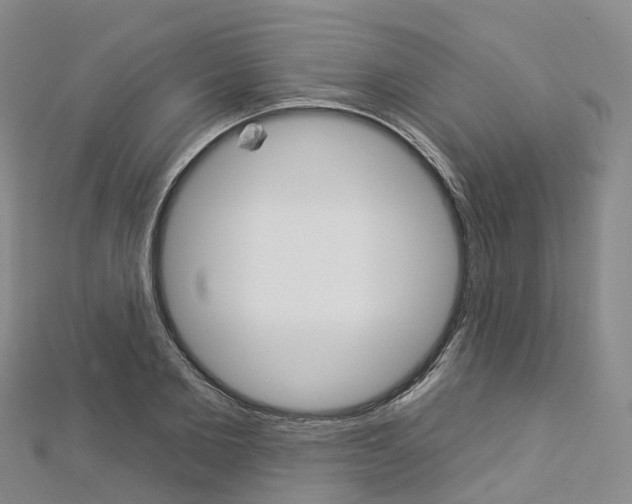 X0000112930885200908241052