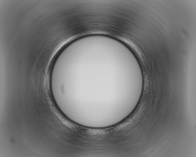 X0000112930886200908241052