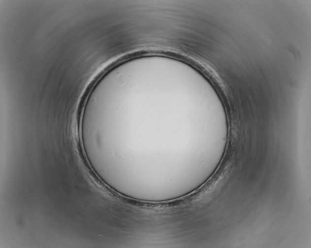 X0000112930887200908241052