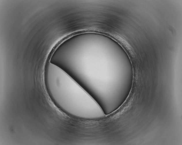 X0000112930888200908241052
