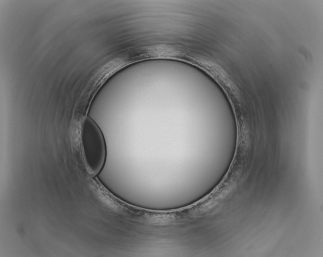 X0000112930889200908241052