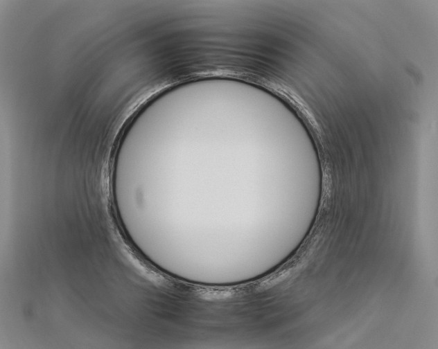 X0000112930890200908241052
