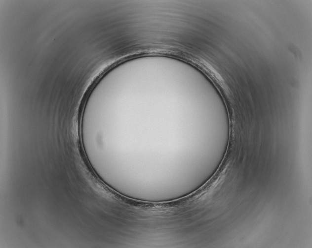 X0000112930891200908241052