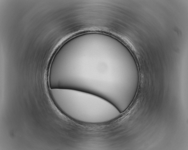 X0000112930895200908241051